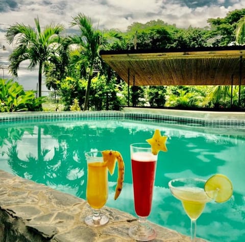 Natural landscape, Garden, Pool view, Swimming pool, Drinks