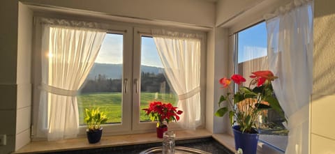 Mountain view, kitchen