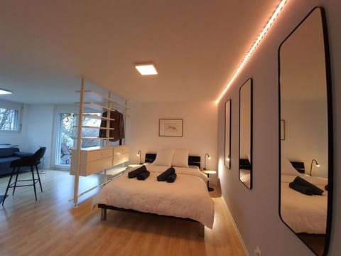 Modern apartment for vacation and business travelers Apartment in Nidwalden