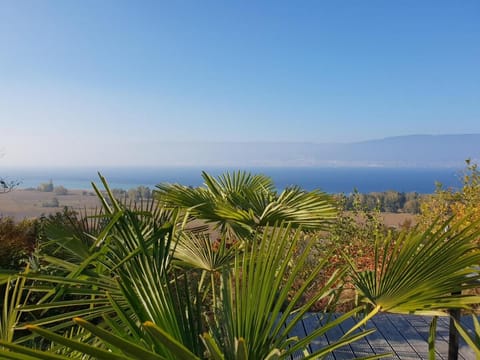 Modern apartment for vacation and business travelers Apartment in Nidwalden