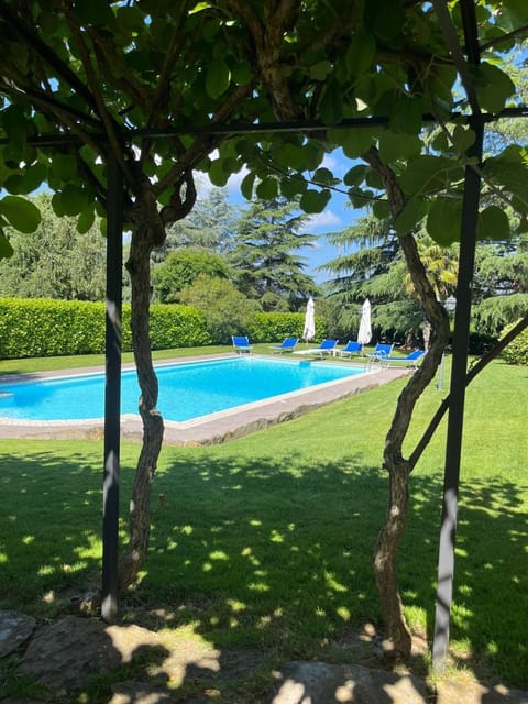 Natural landscape, Garden, Garden view, Swimming pool