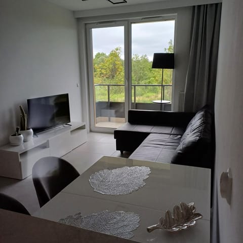 Apartament Gdansk Szary Apartment in Gdansk