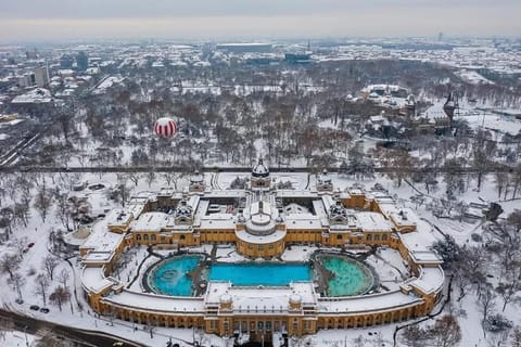 Nearby landmark, Bird's eye view