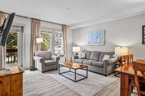 Living room, air conditioner