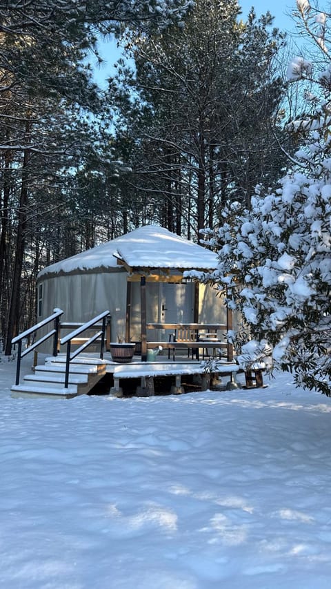 Property building, Winter