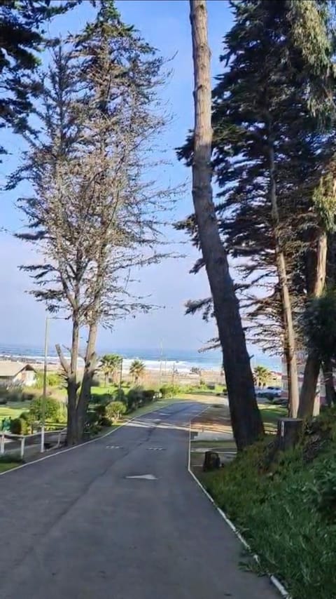 Sea view