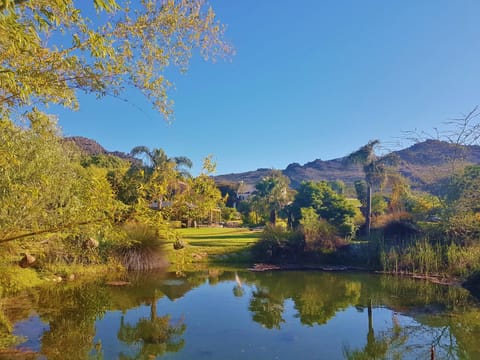 Natural landscape, Lake view, Mountain view
