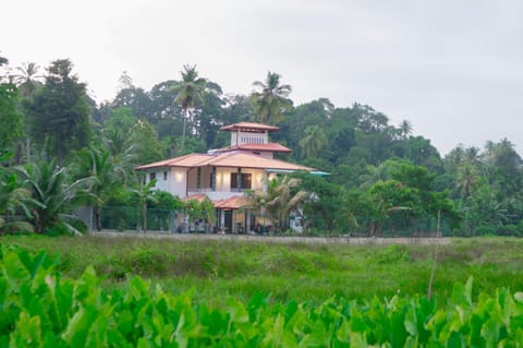 Property building, Day, Garden