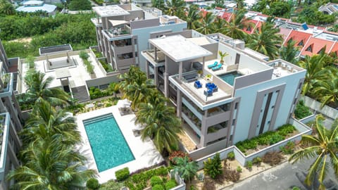 Property building, Bird's eye view, Swimming pool, sunbed