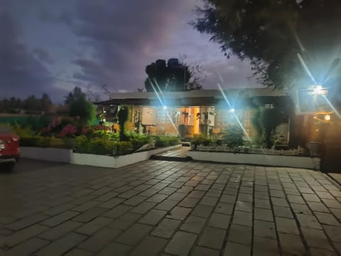 Night, Garden