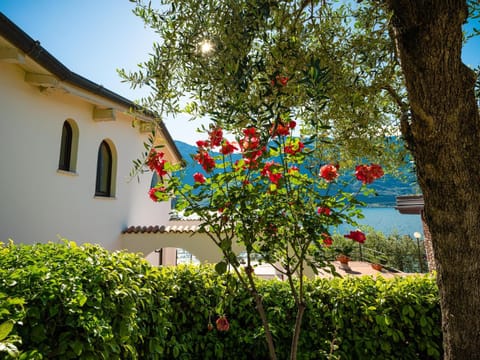 Property building, View (from property/room)