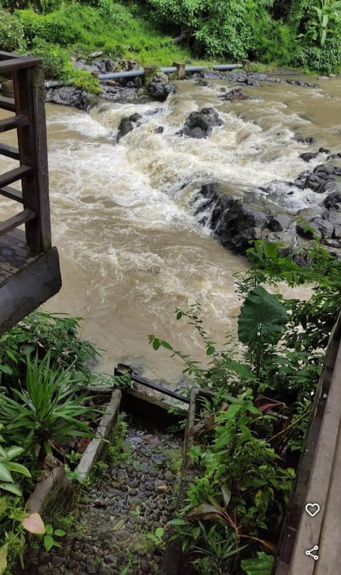 River view
