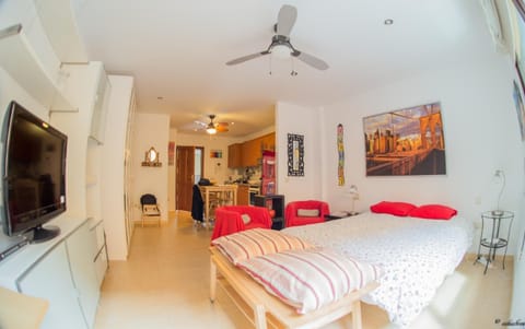 Photo of the whole room