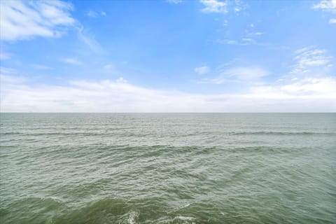 Shamrock Shores - 2941 Bienvil House in Dauphin Island