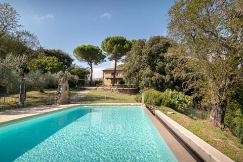 Garden, Pool view, Swimming pool