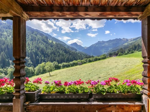 Summer, View (from property/room)