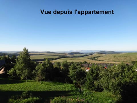 Appartement 4 personnes Super Besse Apartment in Besse-et-Saint-Anastaise