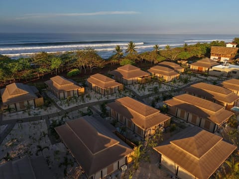 Sea view, Area and facilities