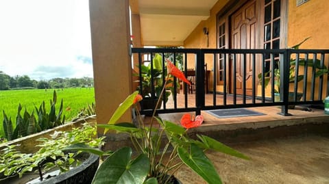 Garden view