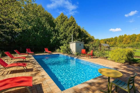 Garden, Pool view, Swimming pool