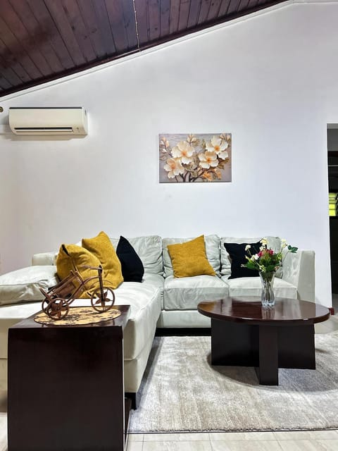 Living room, Seating area, air conditioner