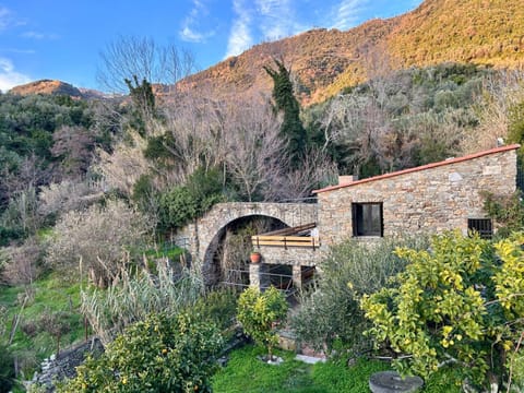 Property building, Spring, Garden, Garden view
