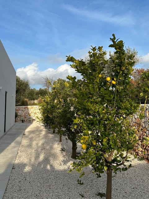 DREAM HOUSE Pouilles Villa in Ostuni