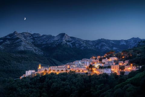 Natural landscape, City view