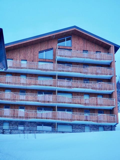 Le Nid d Aigle Apartment in Huez