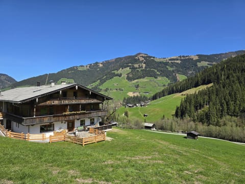 Property building, Summer