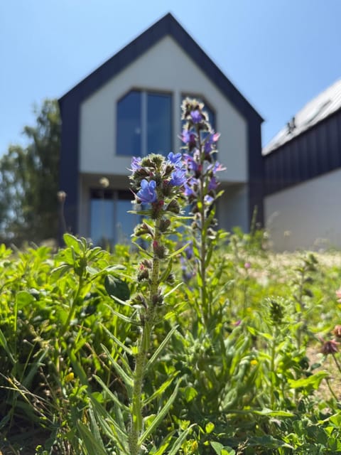 Property building, Spring