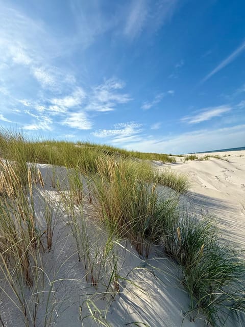 Day, Natural landscape, Beach, Sea view