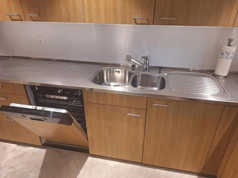 Kitchen or kitchenette, dishwasher