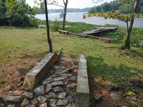 Lake view
