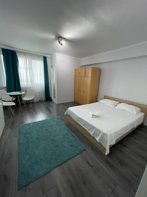 1 room Circumvalatiunii Apartment in Timisoara