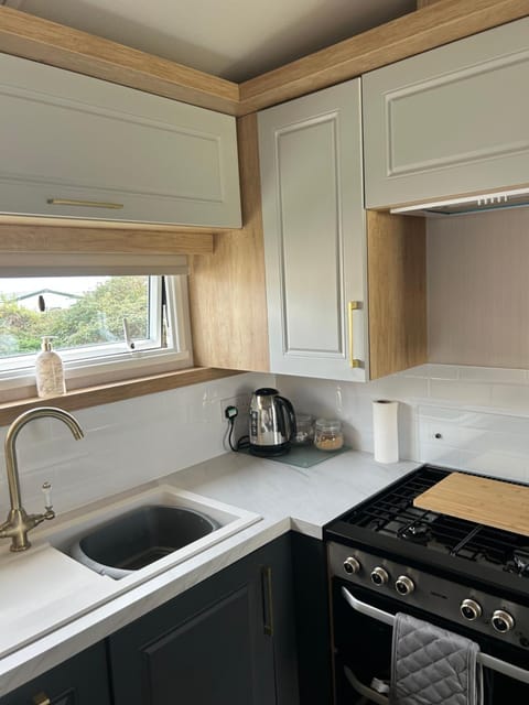 Kitchen or kitchenette, dishwasher, stove, toaster