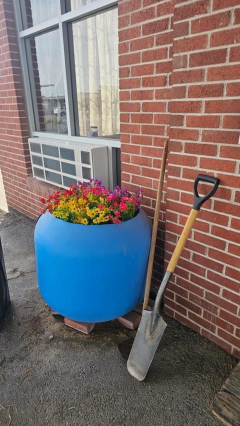 Property building, Facade/entrance, Day, Garden