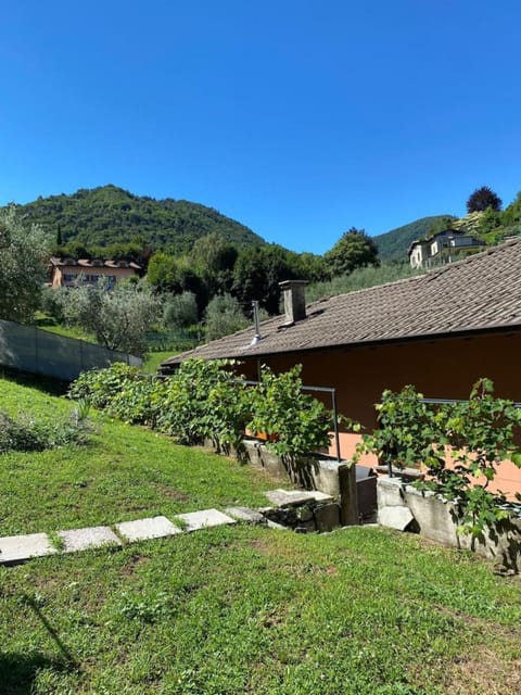 Natural landscape, Garden