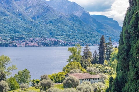 Lake view