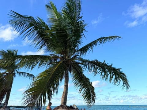 Day, Beach, Sea view