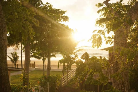 Day, Natural landscape, Garden, Garden view, Sunset