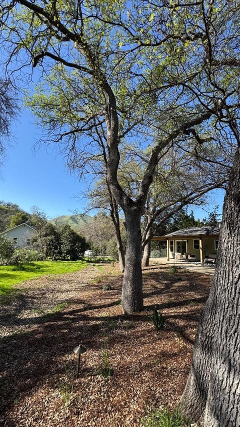 Quiet retreat - Hot tub & sauna in Three Rivers House in Three Rivers