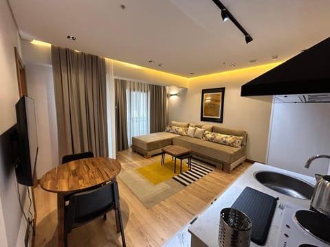 TV and multimedia, Kitchen or kitchenette, Living room, Photo of the whole room, Seating area
