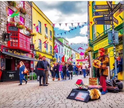 Large cosy home with garden, excellent location! House in Galway