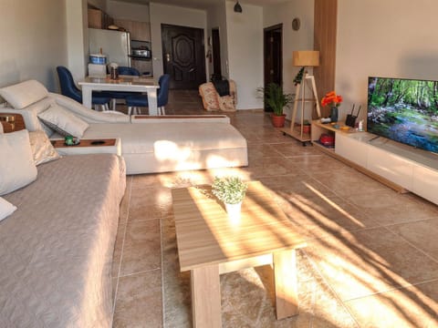 Communal lounge/ TV room, TV and multimedia, Living room
