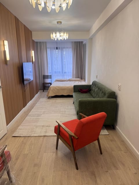 Bed, TV and multimedia, Living room, Photo of the whole room, Seating area, Bedroom