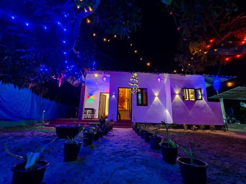 Property building, Night, Garden, Garden view