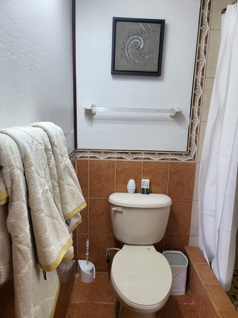 Placencia Oasis Vacation rental in Placencia