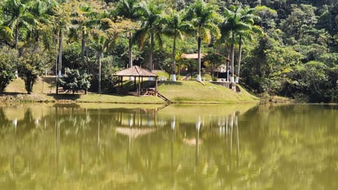 Natural landscape, Lake view