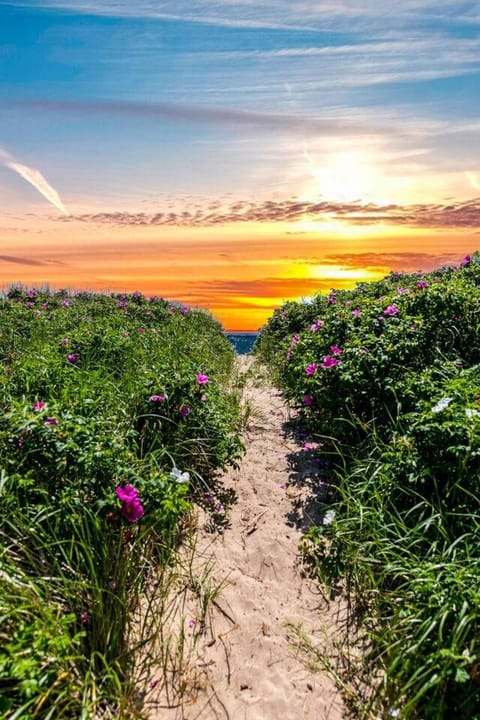 Sunny Beachfront Condo w/ Parking - Ptown West End House in Provincetown